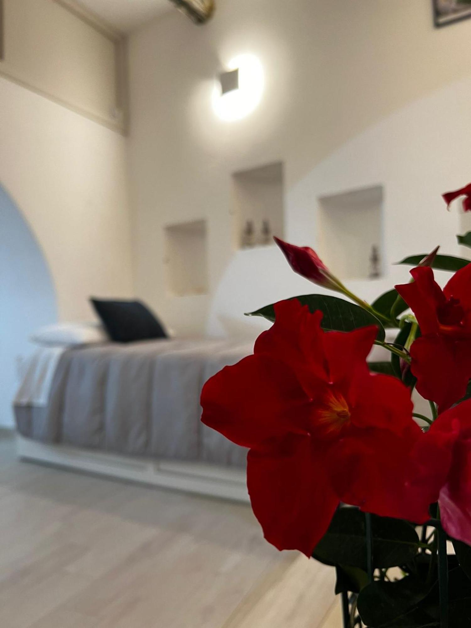 Vila Vicolo Garibaldi Tropea Exteriér fotografie